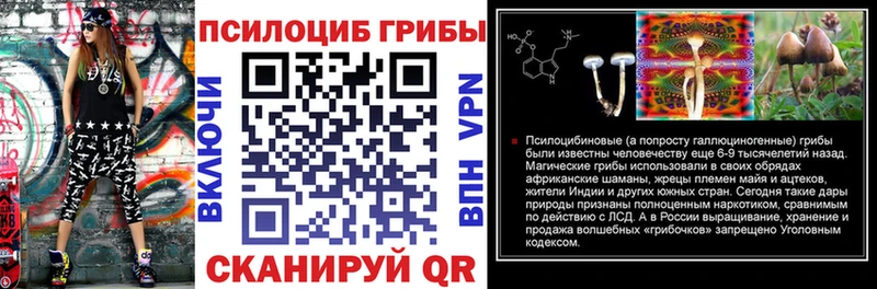 Псилоцибиновые грибы прущие грибы  Купить  Шилка 